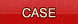 CASE